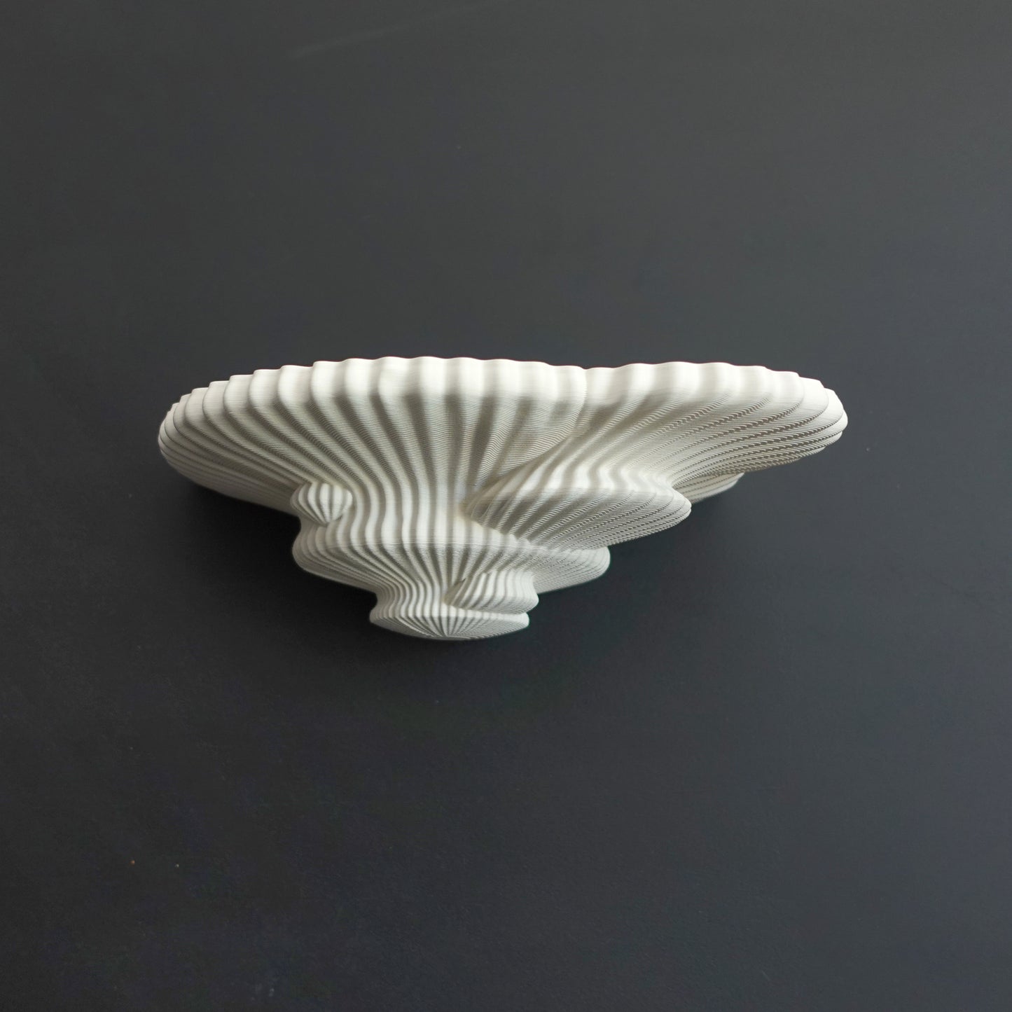 Tinder Fungus mushroom wall shelf, medium size, printed in Australia