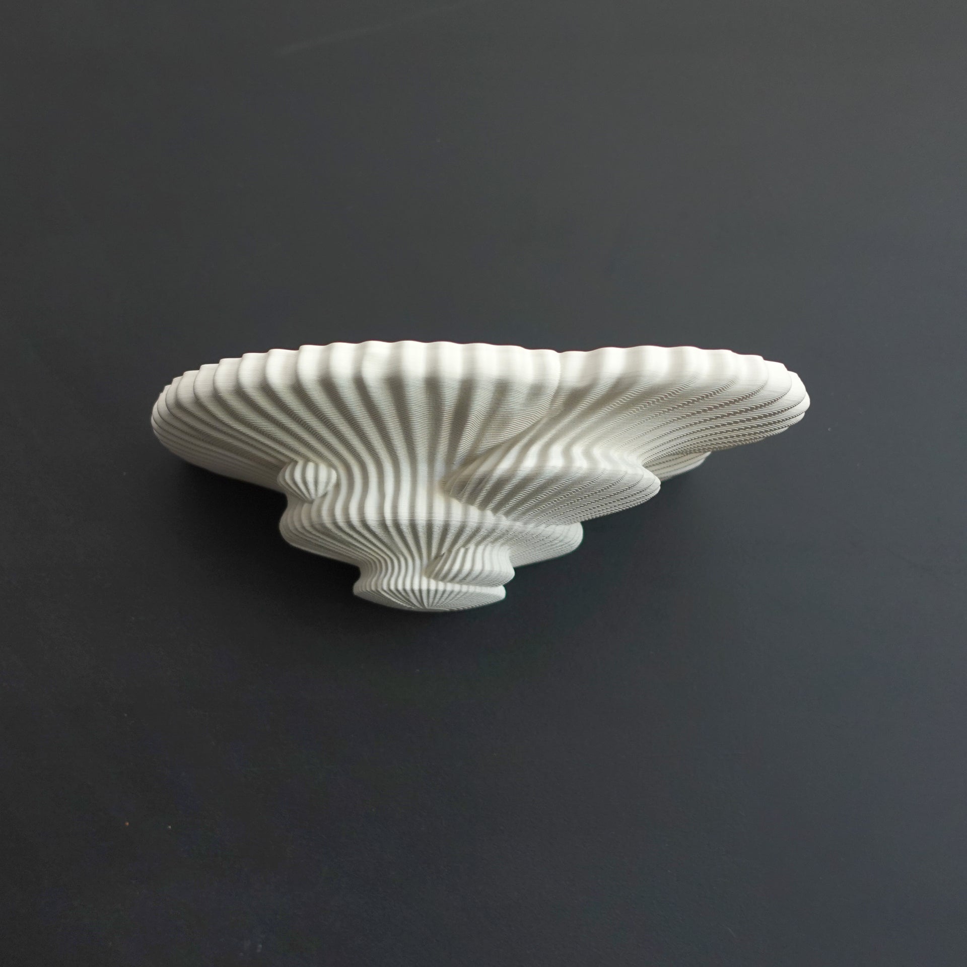 Tinder Fungus mushroom wall shelf, medium size, printed in Australia