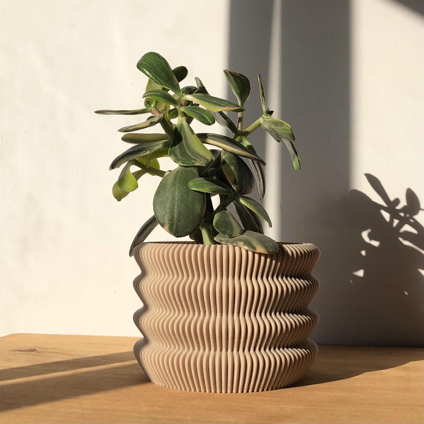 Capri Pot designed by Lu Cop